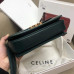 celine-triomphe-2