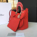 dior-handbag-55