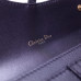 dior-oblique-saddle-clutch-3