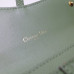 dior-oblique-saddle-clutch-6