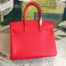 hermes-birkin-36