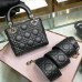 lady-dior-111