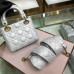 lady-dior-113