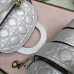 lady-dior-114