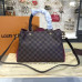 louis-vuitton-brittany-replica-bag