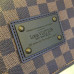 louis-vuitton-brooklyn-replica-bag