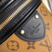 louis-vuitton-cannes-bag