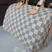 louis-vuitton-speedy-25-replica-bag-11