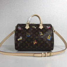 louis-vuitton-speedy-30-19